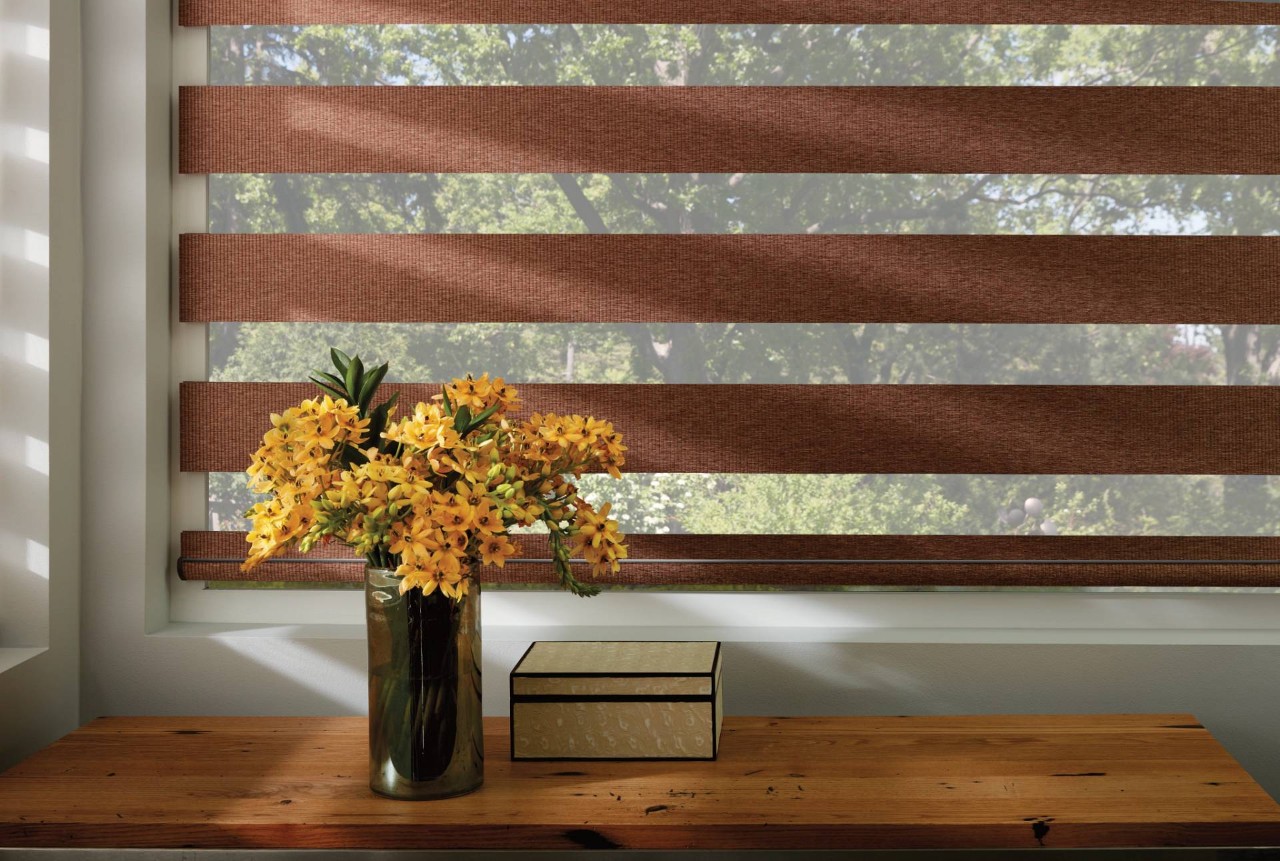 Hunter Douglas Designer Banded Shades Near Grand Rapids, Michigan (MI)